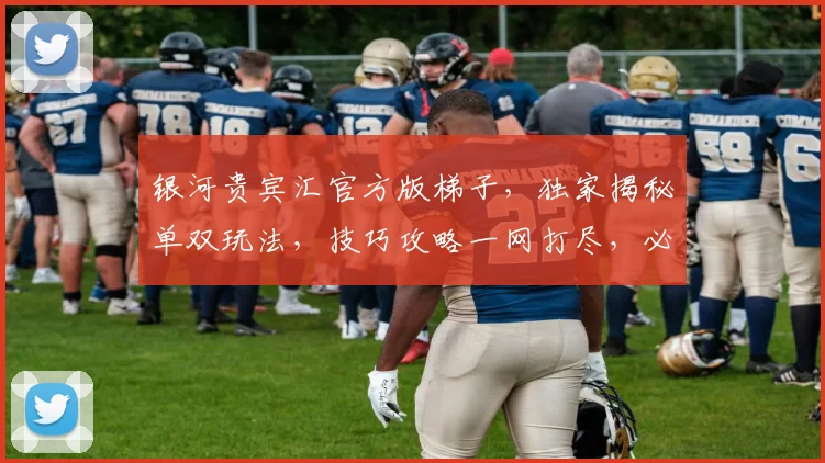 银河贵宾汇官方版梯子，独家揭秘单双玩法，技巧攻略一网打尽，必看